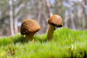世界篮球邀请赛：外线效率成为胜负分水岭，世界篮球俱乐部杯赛